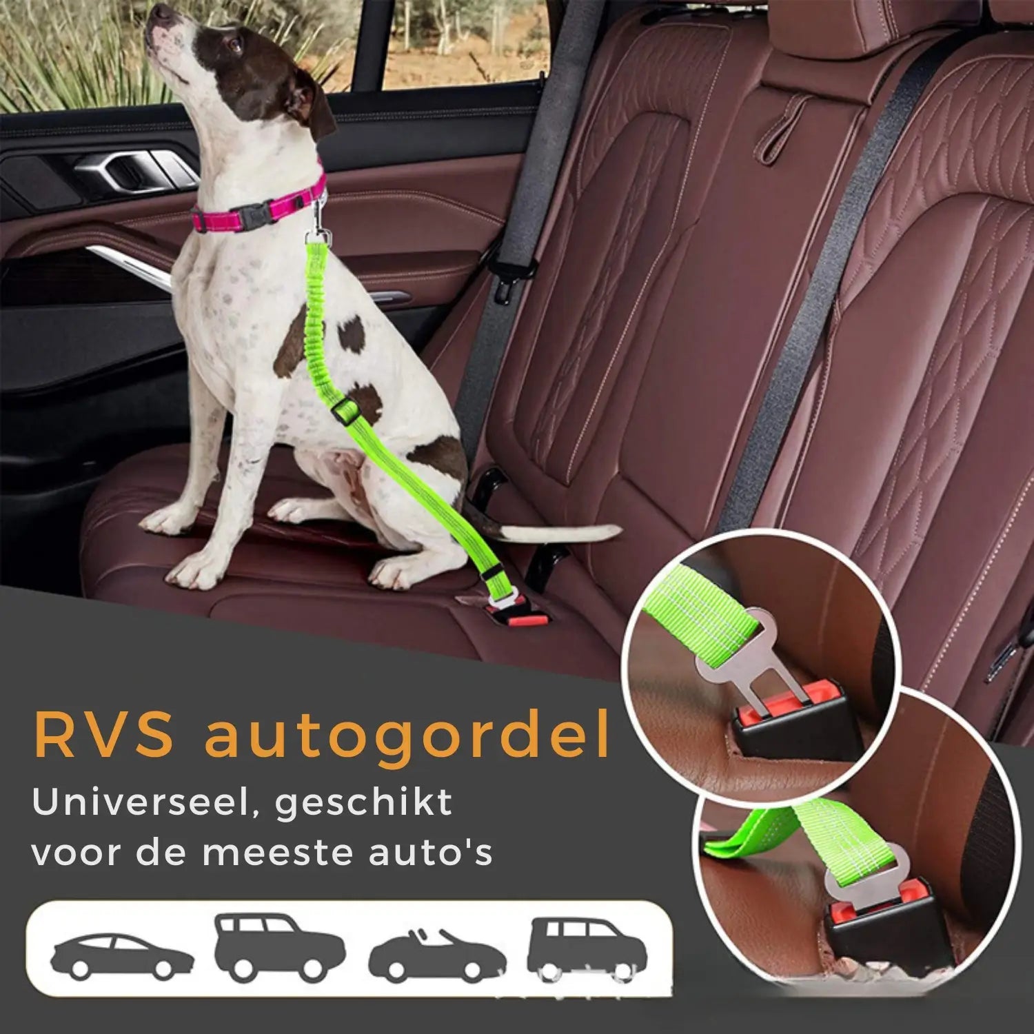 Autogordel Hondenriem/Kattenriem met Elastiek | Reflecterende Veiligheidsriem